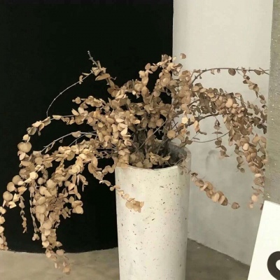 兽设花海场景设计福瑞群